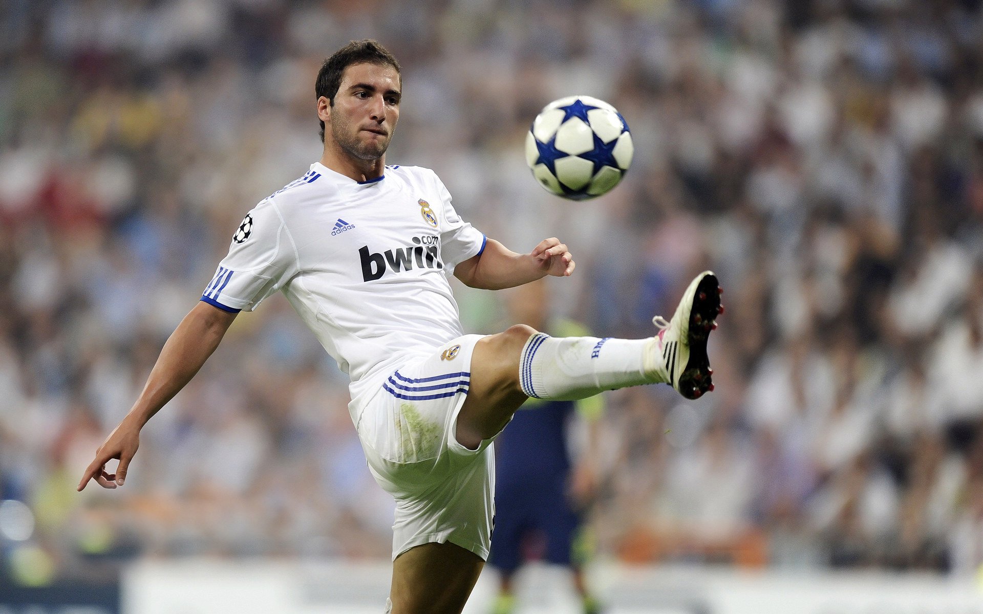 现场火爆：球迷热情支持下的疯狂场面，足球球迷现场