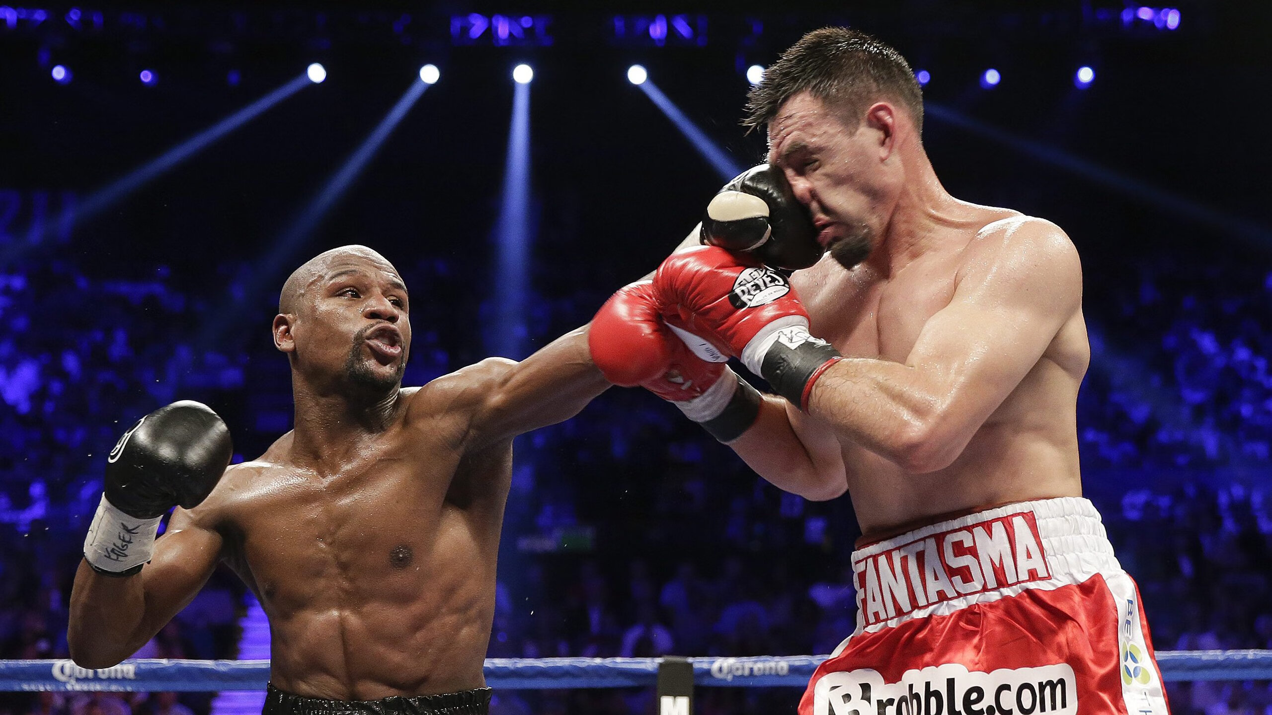 美国马术协会授予斯蒂芬·彼得斯“年度最佳教练员”称号。